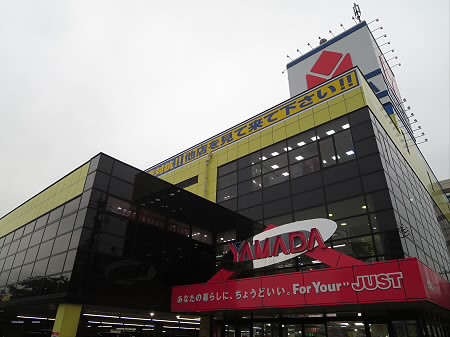 クヌギ 周辺画像5