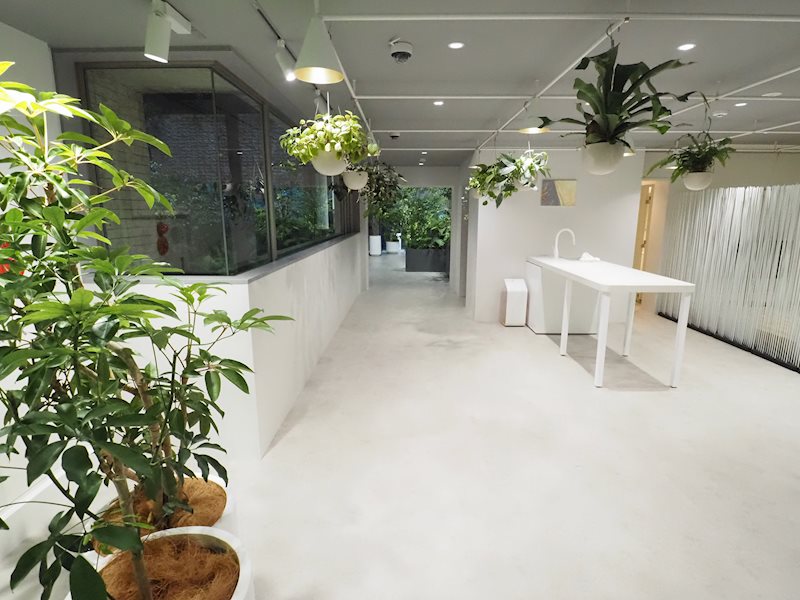 その他12