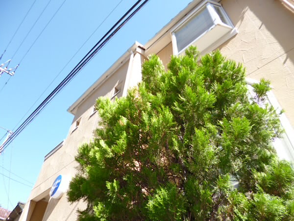 スカイキープ明大前 外観