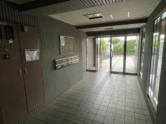 その他11