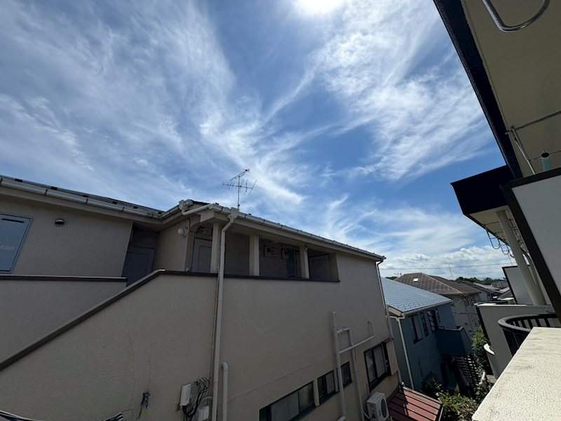 その他7