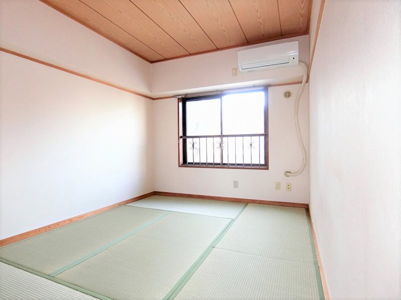 その他19
