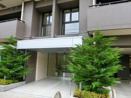 その他11