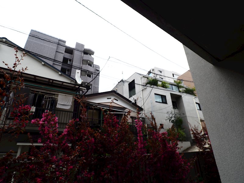 その他6