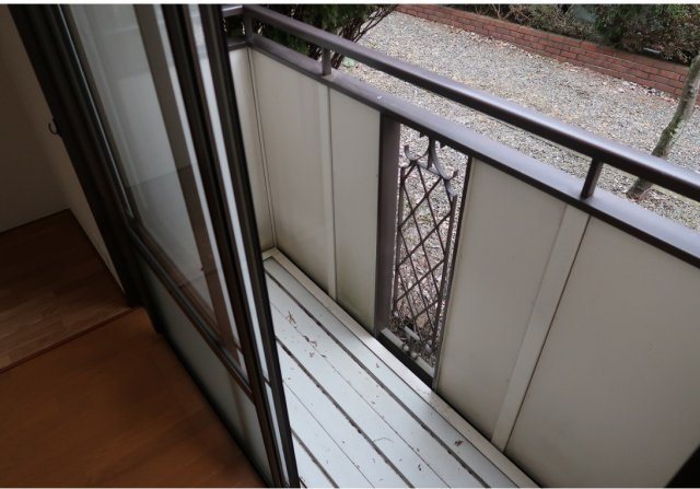 ラドミール その他4
