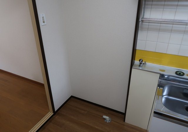 ラドミール その他5