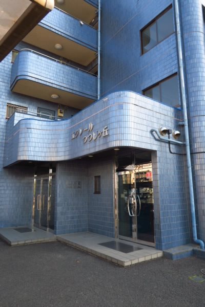 その他11