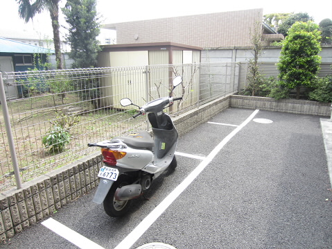 ラソフェルサ  その他6