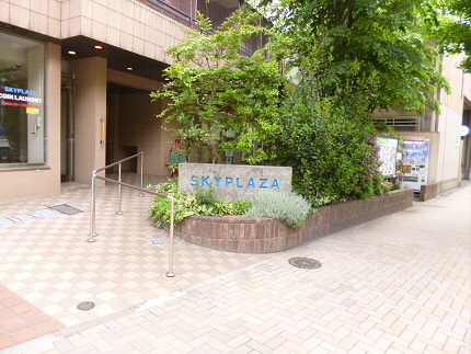 その他7