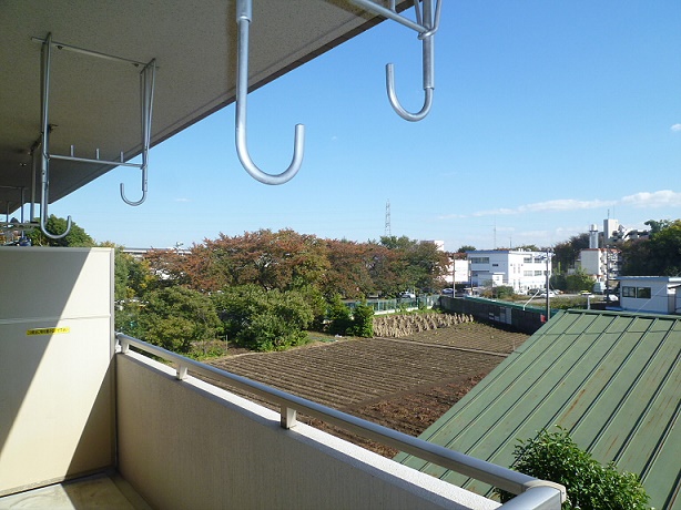アレグリア   その他1