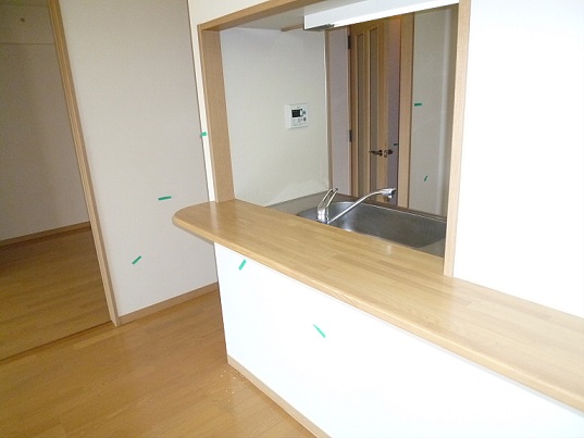 アレグリア   その他6