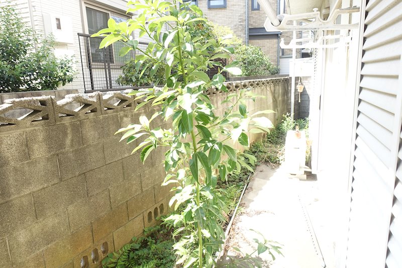 その他8