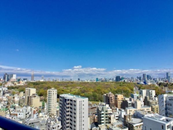 Brillia　Tower代々木公園CLASSY その他5