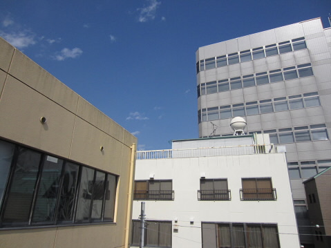 ボヘミアンテラス   その他3