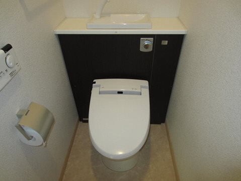 オーストシュロス その他2