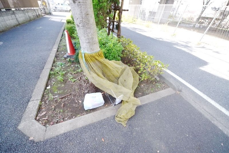 その他5