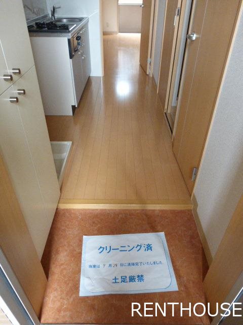 DOMUS   玄関