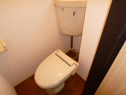 岩田ハイツ 【当店専任物件】 その他1