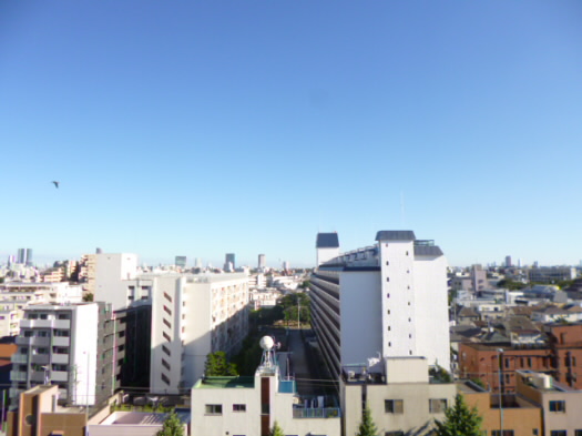 その他7