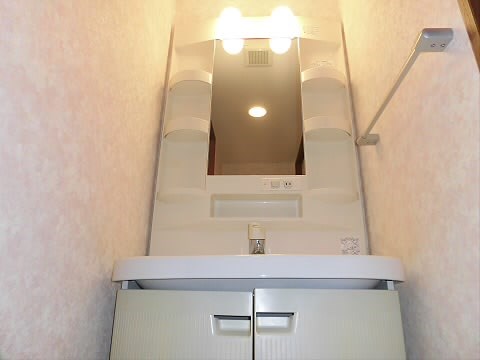 その他1