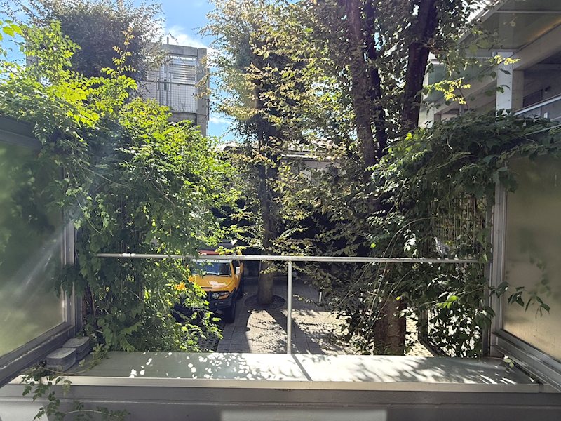 東京都杉並区大宮１丁目 眺望