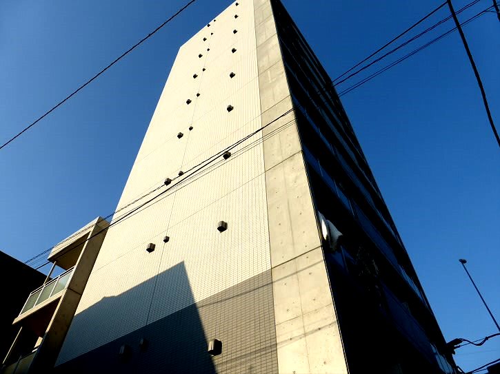 その他11