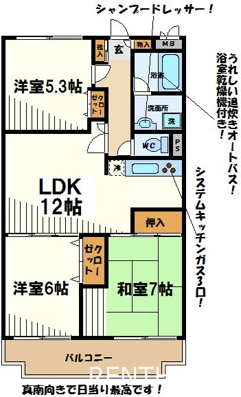 コーボック国領    間取り