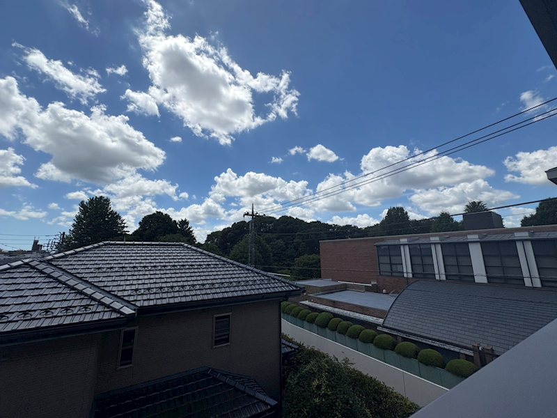 その他11