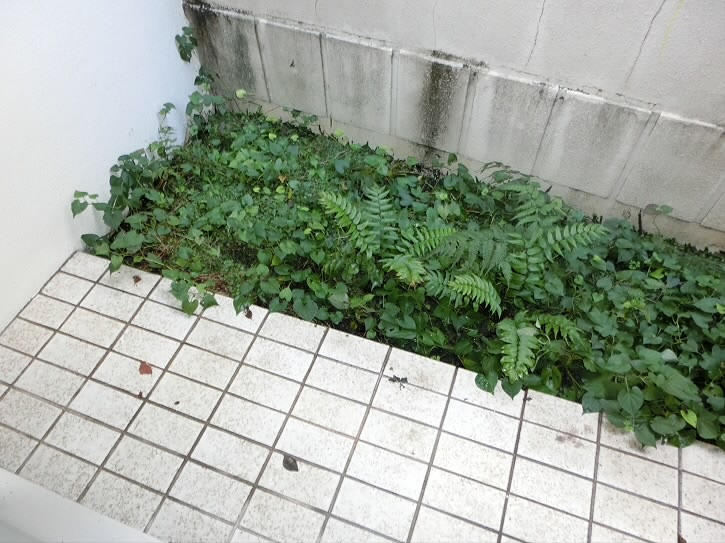 ベランダ