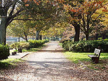 東京都杉並区松ノ木１丁目 公園