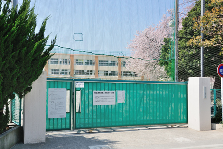 東京都杉並区成田西１丁目 小学校