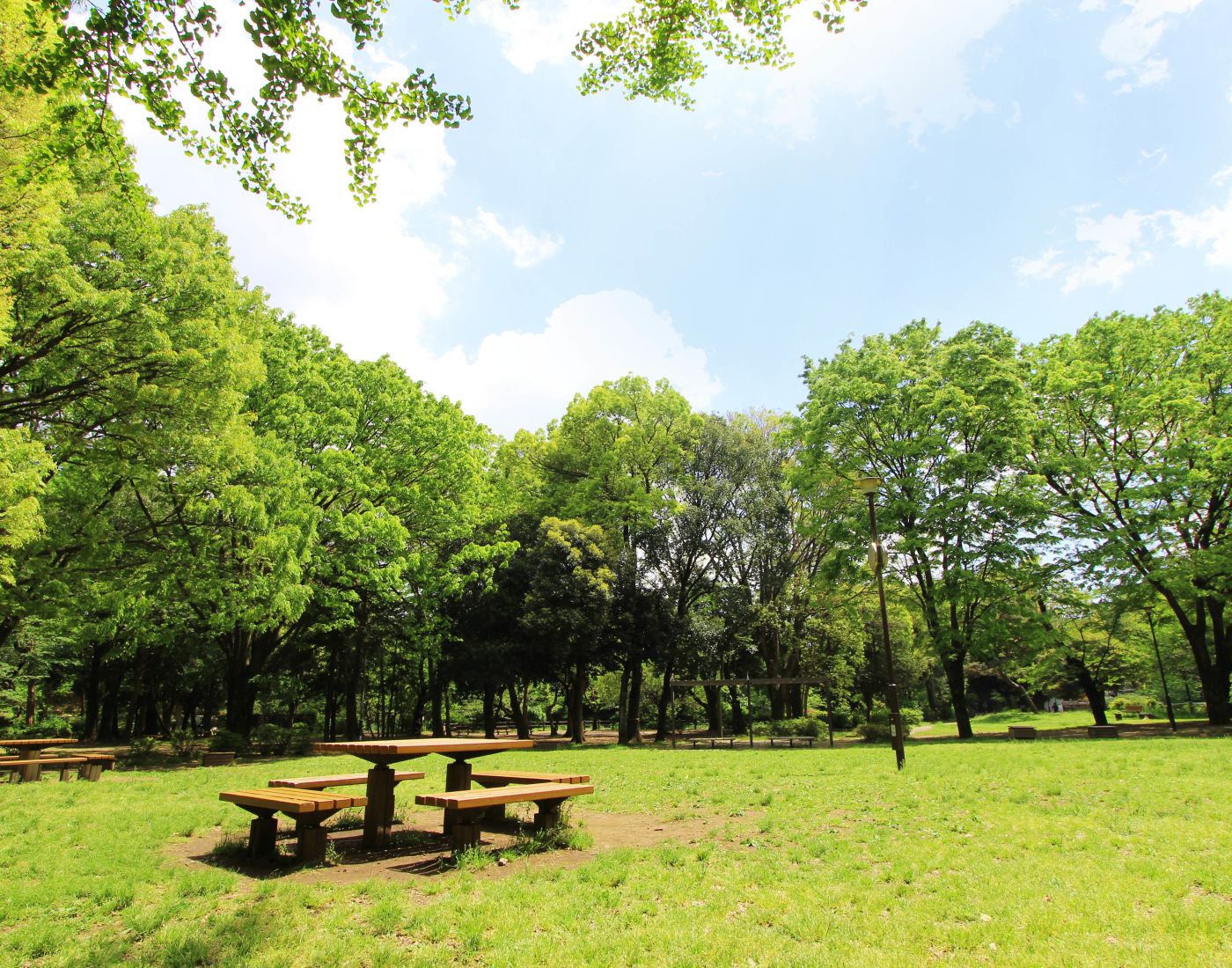東京都杉並区和泉３丁目 公園
