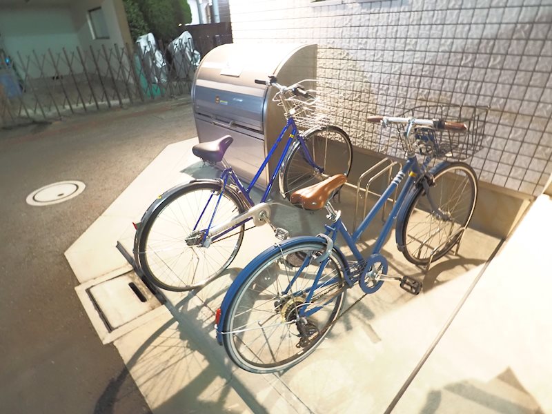 フィカーサ　ブランカ   その他