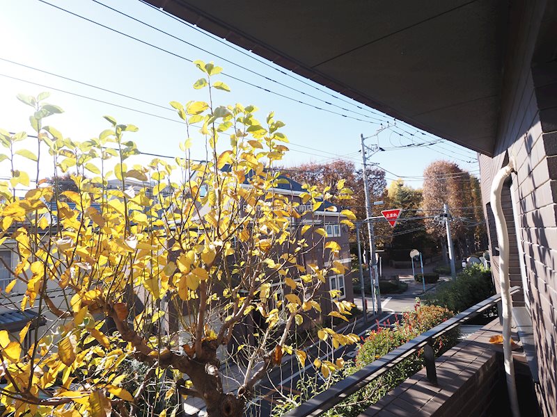 東京都杉並区浜田山２丁目 眺望