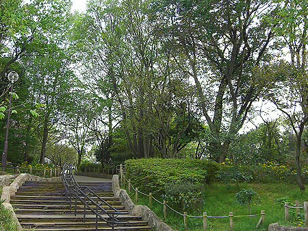 東京都世田谷区松原５丁目 公園