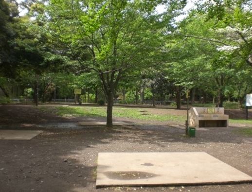 東京都杉並区和泉３丁目 公園