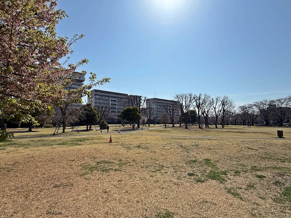 シエルコート上福岡 公園