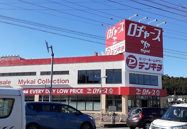スプリング　サニー その他