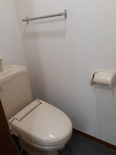 ティアラ トイレ