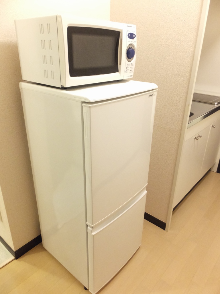 レオネクストメゾンボナール その他