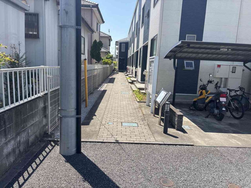 レオネクストシャイン その他