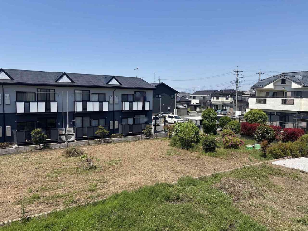 レオネクストシャイン その他