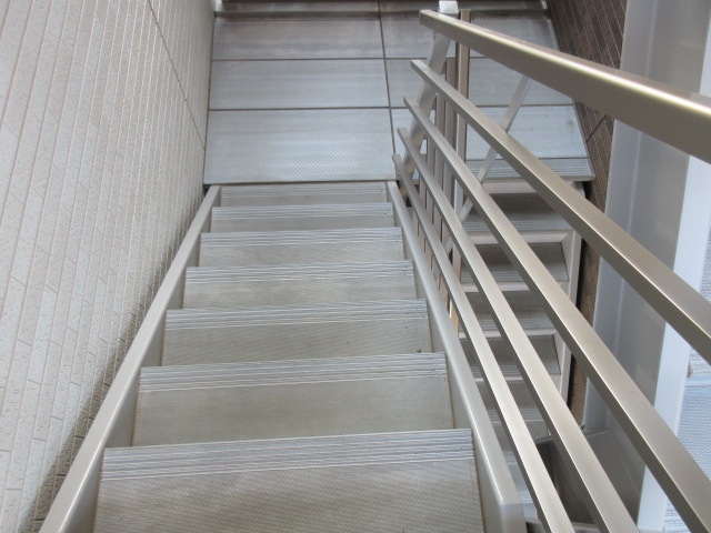 ミランダセレッソサード その他