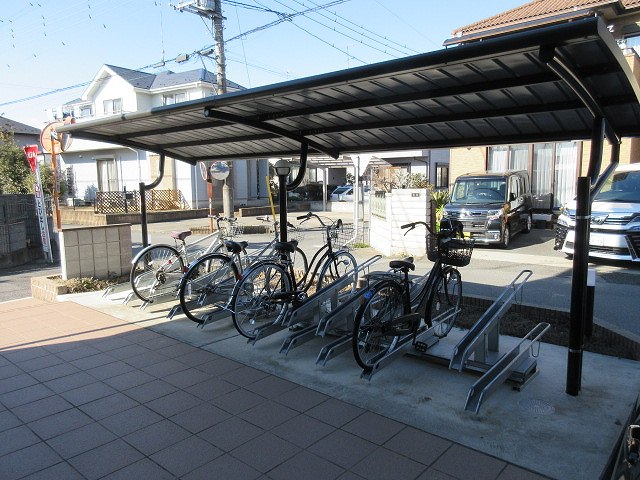 ミランダセレッソサード その他
