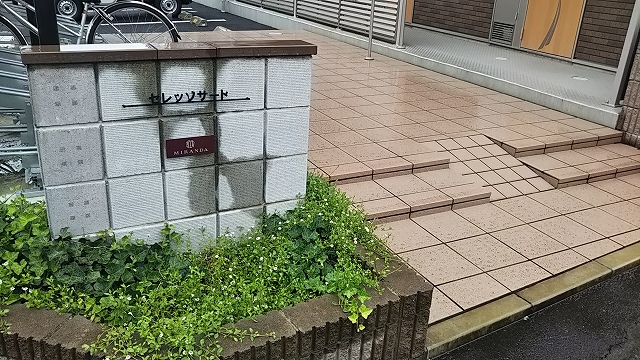 ミランダセレッソサード その他