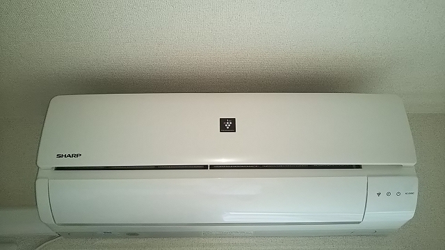 ミランダセレッソサード その他