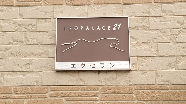 レオパレスエクセラン その他