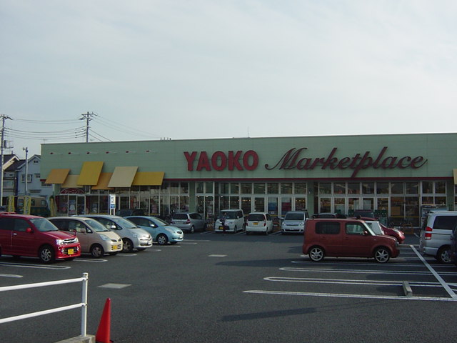 アイリス その他