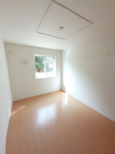 プラシードＳ その他