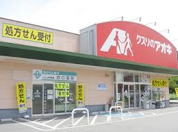 カーサ・イリーデ その他